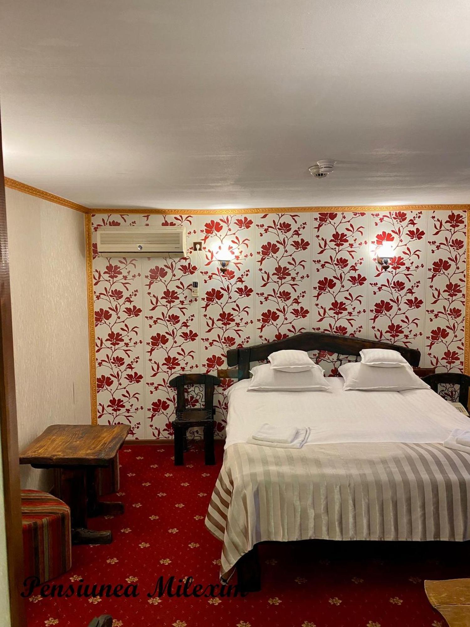 Pensiunea Milexim Cîmpia Turzii Dış mekan fotoğraf
